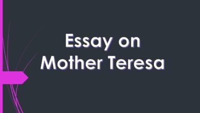 essay on mother Teresa