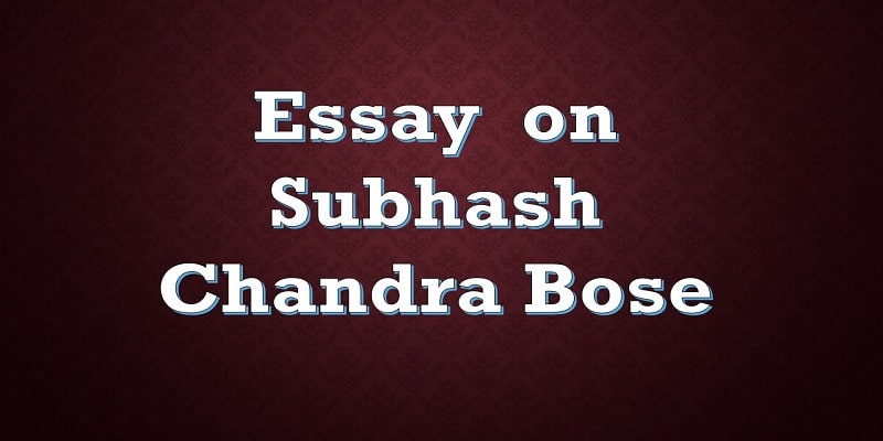 subhash chandra bose freedom fighter essay
