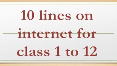10 lines on internet