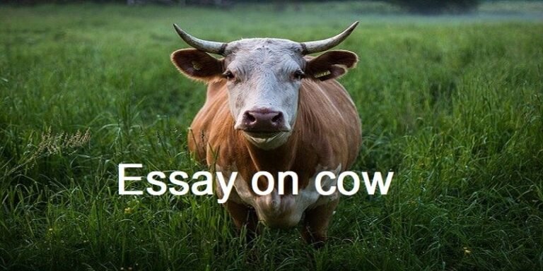 the cow essay in english 250 words