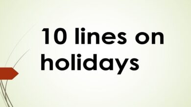 10 lines on holidays