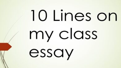 10 lines on my class