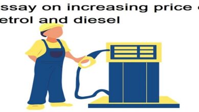 Essay on increasing price of petrol and diesel
