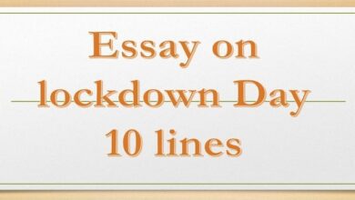 Essay on lockdown Day 10 lines