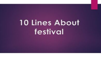 10 Lines About festival