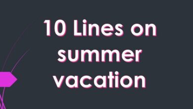 10 Lines on summer vacation