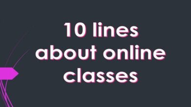 10 lines about online classes