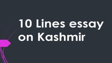 10 lines on Kashmir