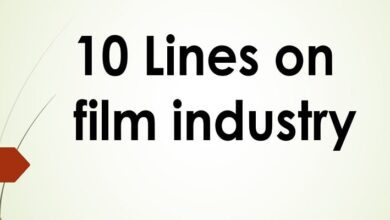 10 lines on film industry