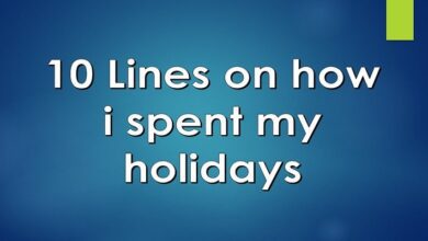 10 lines on how i spent my holidays
