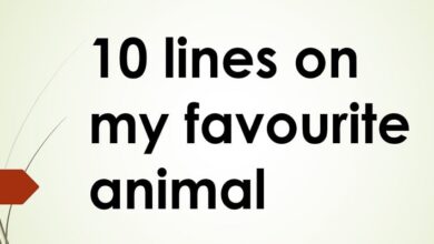 10 lines on my favourite animal