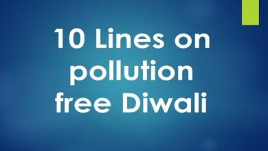 10 lines on pollution free Diwali
