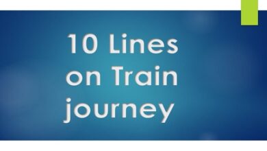 10 lines on train journey