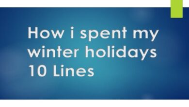 How i spent my winter holidays 10 Lines