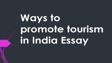 Ways to promote tourism in India Essay