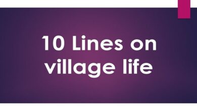 10 Lines on village life