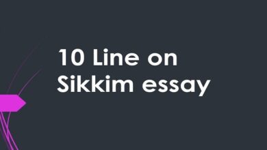 10 line on Sikkim