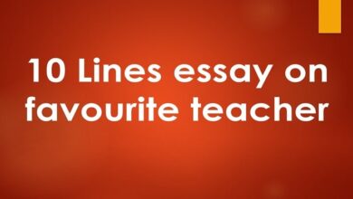 10 lines on favourite teacher