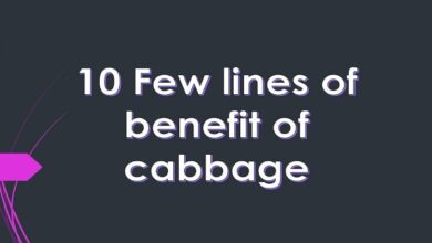 10 Few lines of benefit of cabbage