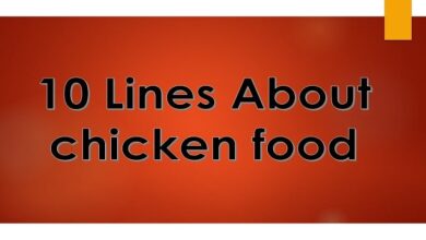 10 Lines About chicken food