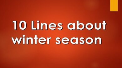 10 Lines about winter season