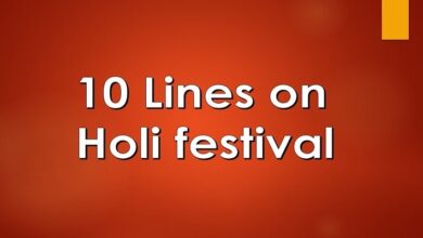 10 Lines on Holi festival
