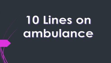 10 Lines on ambulance