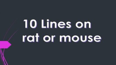 10 Lines on rat