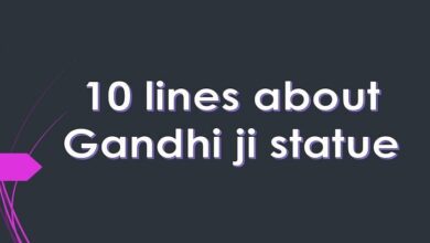 10 lines about Gandhiji statue