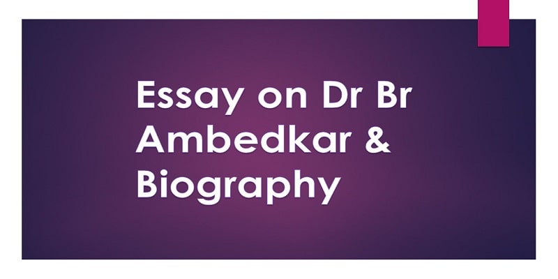 Essay on Dr Br Ambedkar & Biography