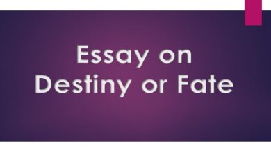 Essay on destiny or fate