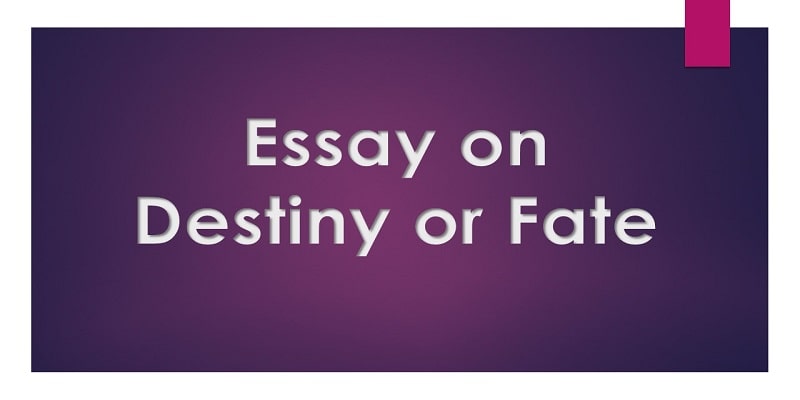 argumentative essay about fate