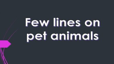 Few lines on pet animals