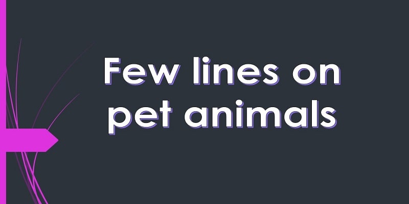 10 Few Lines on Pet Animals in English for Students and Children »