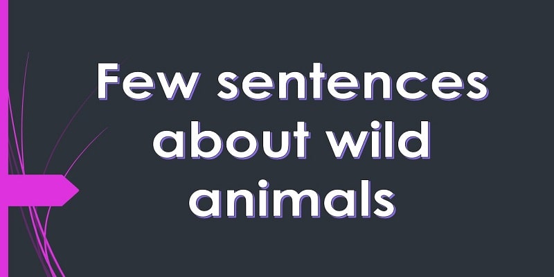 10 Few Sentences About Wild Animals in English for Students and Children