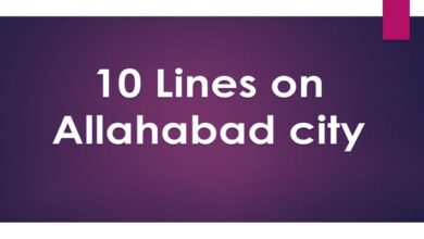 10 Lines on Allahabad city