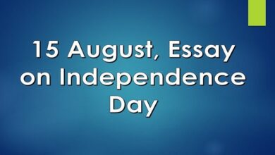 Essay on Independence Day