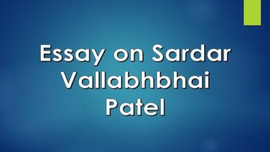 Essay on Sardar Vallabhbhai Patel