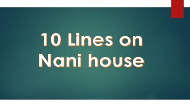 10 Lines on Nani house in English