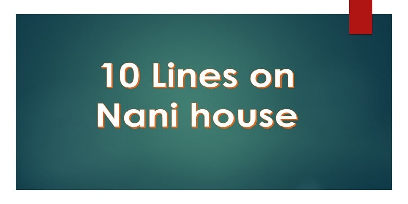 essay on nani house in english