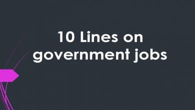 10 Lines on government jobs