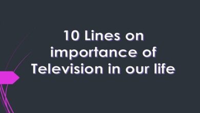 10 Lines on importance of television in our life
