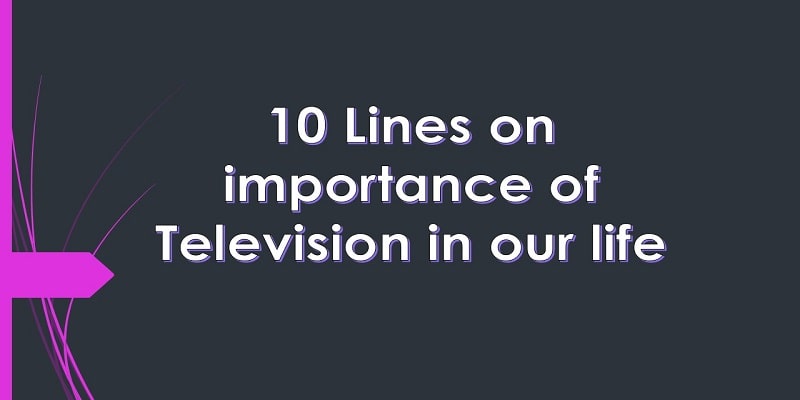 essay on importance of television in our life