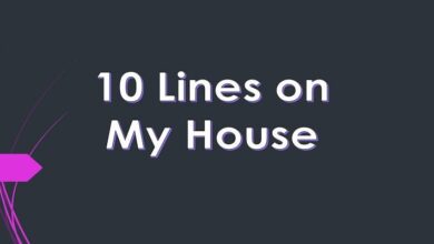 10 Lines on my house
