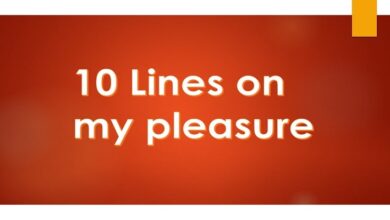 10 Lines on my pleasure