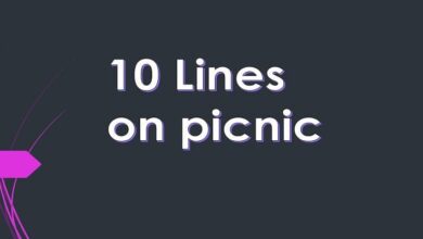 10 Lines on picnic