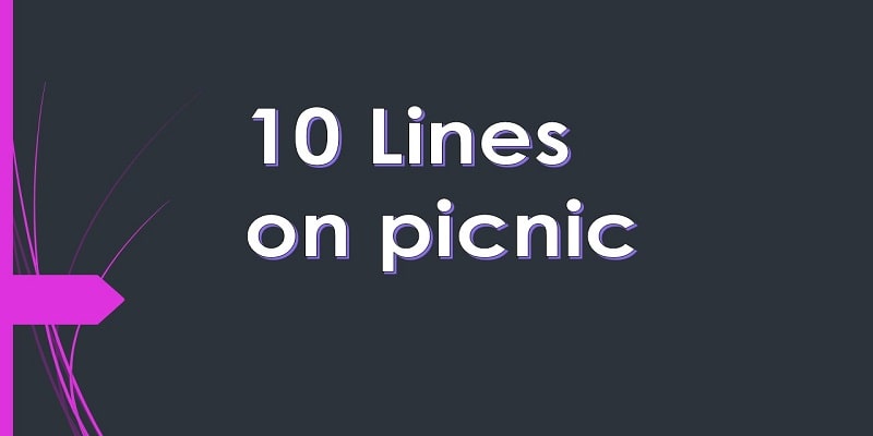 10 Lines on picnic