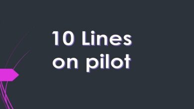 10 Lines on pilot