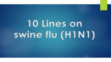 10 Lines on swine flu