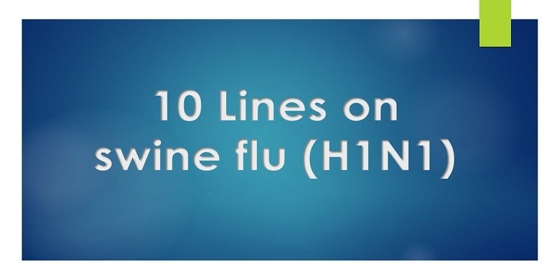 10 Lines on swine flu